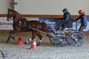 25.2.2018 - spřežení Královice