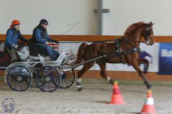 25.2.2018 - spřežení Královice