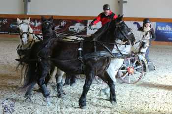 25.2.2018 - spřežení Královice