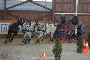 25.2.2018 - spřežení Královice