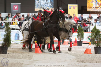 26.3.2017 - spřežení Lysá nad Labem