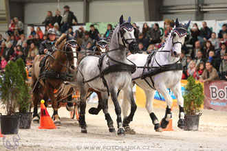 26.3.2017 - spřežení Lysá nad Labem
