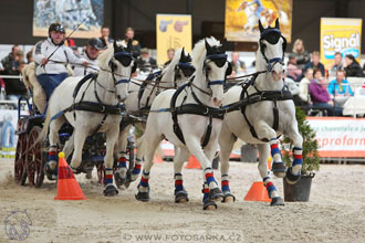 26.3.2017 - spřežení Lysá nad Labem