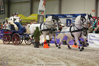 26.3.2017 - spřežení Lysá nad Labem