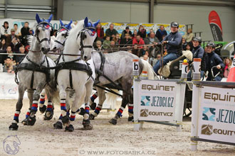 26.3.2017 - spřežení Lysá nad Labem