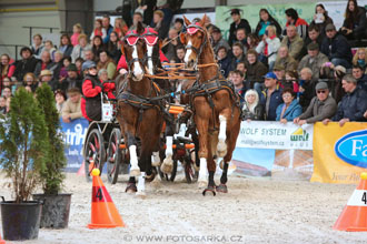 26.3.2017 - spřežení Lysá nad Labem