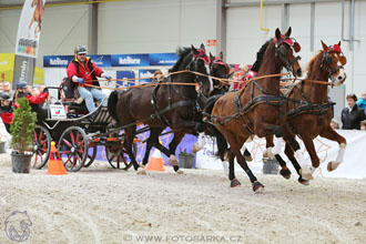 26.3.2017 - spřežení Lysá nad Labem