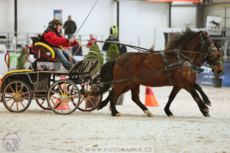 26.3.2017 - spřežení Lysá nad Labem