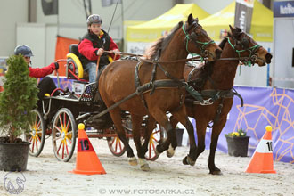 26.3.2017 - spřežení Lysá nad Labem