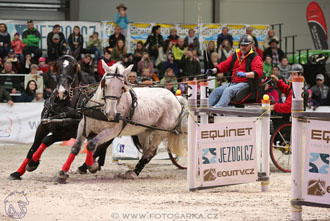 26.3.2017 - spřežení Lysá nad Labem