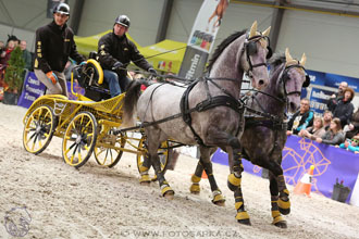 26.3.2017 - spřežení Lysá nad Labem