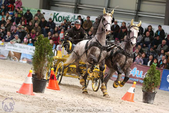 26.3.2017 - spřežení Lysá nad Labem