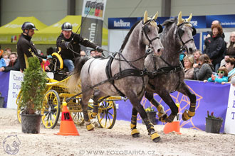 26.3.2017 - spřežení Lysá nad Labem