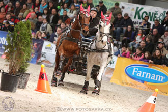 26.3.2017 - spřežení Lysá nad Labem