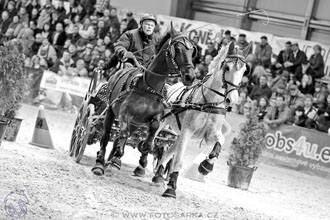 26.3.2017 - spřežení Lysá nad Labem