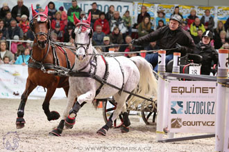 26.3.2017 - spřežení Lysá nad Labem