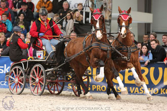 26.3.2017 - spřežení Lysá nad Labem