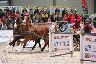 26.3.2017 - spřežení Lysá nad Labem
