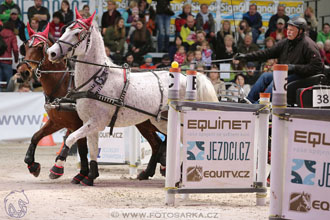 26.3.2017 - spřežení Lysá nad Labem