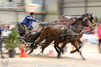 26.3.2017 - spřežení Lysá nad Labem