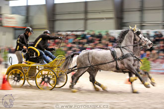 26.3.2017 - spřežení Lysá nad Labem
