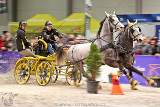 26.3.2017 - spřežení Lysá nad Labem