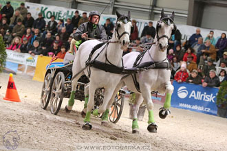 26.3.2017 - spřežení Lysá nad Labem