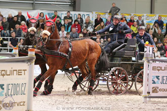 26.3.2017 - spřežení Lysá nad Labem