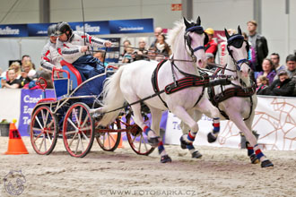 26.3.2017 - spřežení Lysá nad Labem