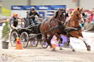 26.3.2017 - spřežení Lysá nad Labem