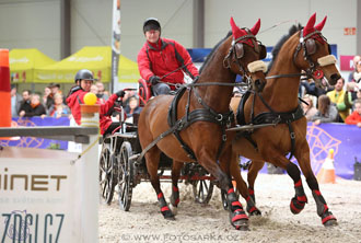 26.3.2017 - spřežení Lysá nad Labem