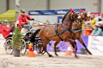 26.3.2017 - spřežení Lysá nad Labem