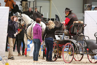 26.3.2017 - spřežení Lysá nad Labem