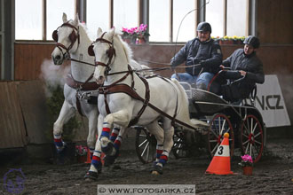 27.1.2018 - Halovky Hradištko