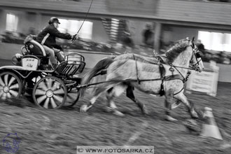 27.1.2018 - Halovky Hradištko