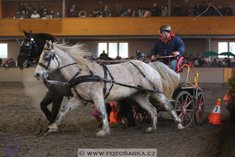 27.1.2018 - Halovky Hradištko