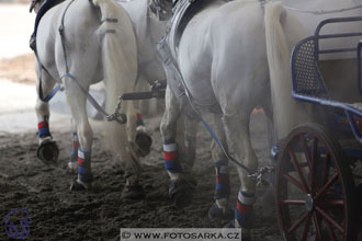 27.1.2018 - Halovky Hradištko