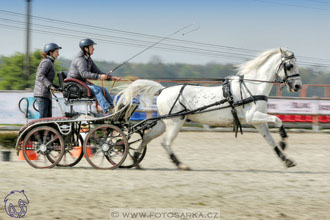 29.4.2017 - Wetbloc Cup