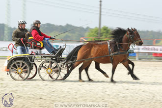 29.4.2017 - Wetbloc Cup