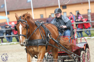 29.4.2017 - Wetbloc Cup