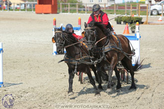 29.4.2017 - Wetbloc Cup