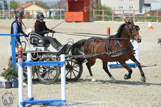 29.4.2017 - Wetbloc Cup