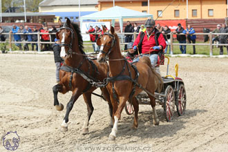 29.4.2017 - Wetbloc Cup