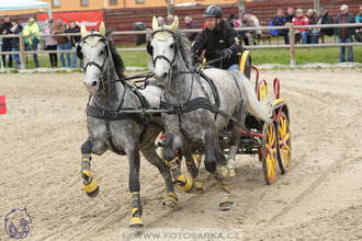 29.4.2017 - Wetbloc Cup