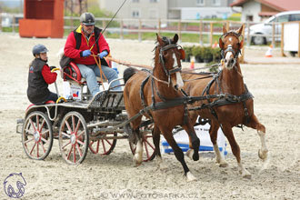 29.4.2017 - Wetbloc Cup