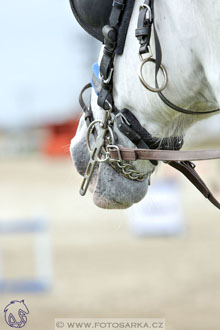 29.4.2017 - Wetbloc Cup