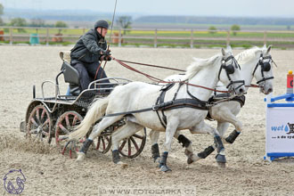29.4.2017 - Wetbloc Cup