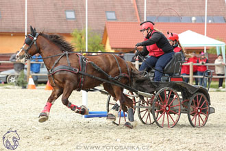 29.4.2017 - Wetbloc Cup