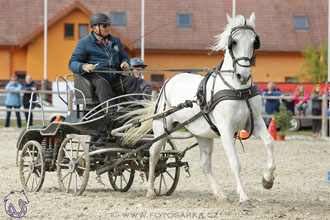 29.4.2017 - Wetbloc Cup
