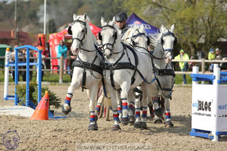 29.4.2017 - Wetbloc Cup